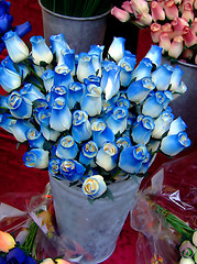 Image showing Blue and white roses
