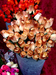 Image showing Brown roses