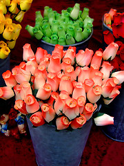 Image showing Orange and green roses