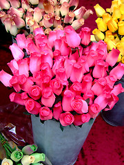 Image showing Pink roses