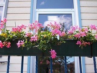 Image showing Flowers before office