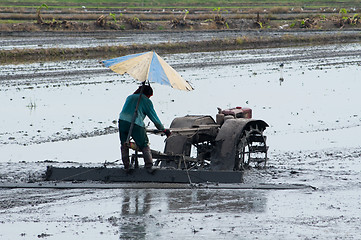 Image showing Farmer levelling a rice field in Thailand.