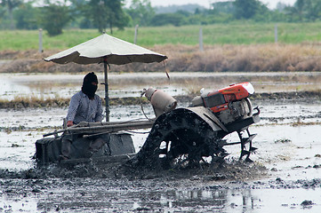 Image showing Farmer in Thailand preparing the rice field