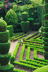 Image showing Decorative green park – Botanical garden Funchal, Madeira