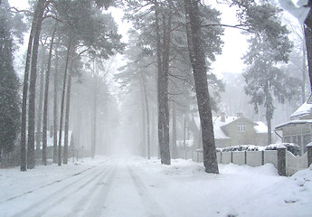 Image showing snowfall