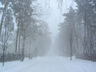 Image showing snowfall