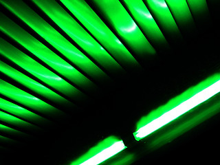 Image showing Green against the darkness