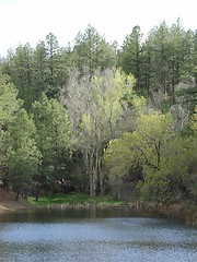 Image showing PAYSON LAKE