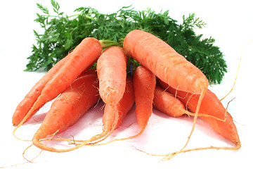 Image showing Carrots