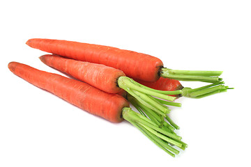 Image showing Carrots