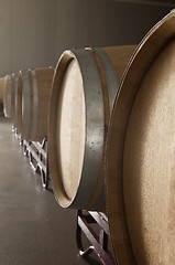 Image showing Oak barrels in a winery