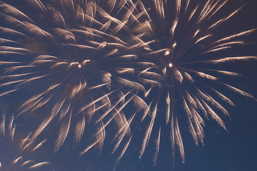 Image showing darkling firework