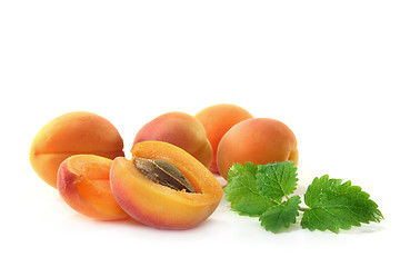 Image showing Apricots