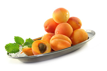 Image showing Apricots