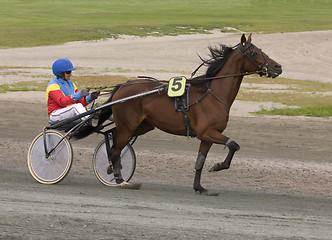 Image showing Trotting race