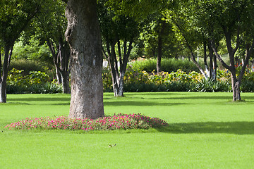 Image showing park