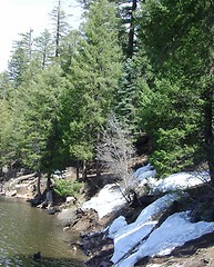 Image showing SNOWY BANKS