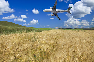 Image showing airplane and wheat field