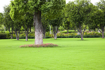 Image showing park