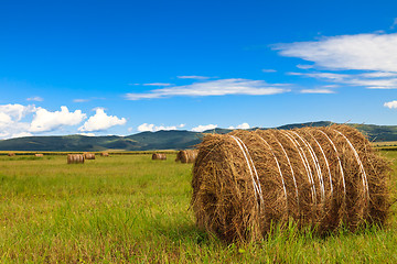 Image showing meadow of Inner Mongolia 