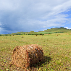 Image showing meadow of Inner Mongolia 