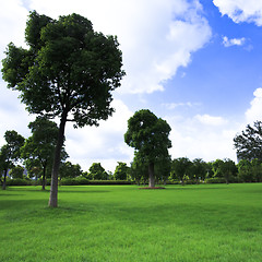 Image showing park