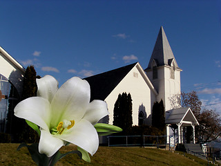 Image showing easter lily blooms in front of church