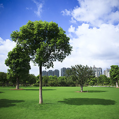 Image showing park