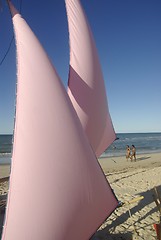 Image showing Pink Sail