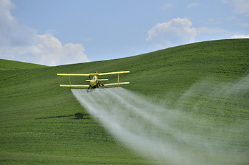 Image showing Biplane Crop Duster spraying a farm field.