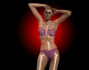 Image showing X Ray Women