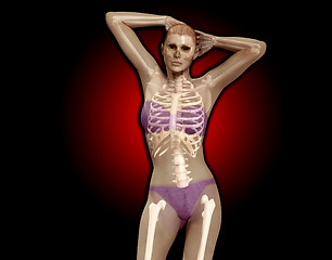 Image showing X Ray Women