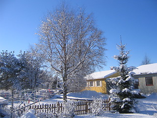 Image showing Winter neighbourhood