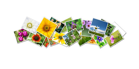Image showing flowers collage