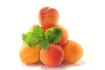 Image showing apricots