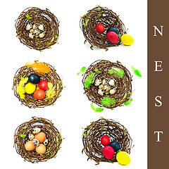 Image showing nest with different eggs