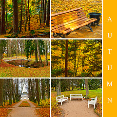 Image showing autumn set