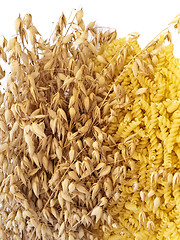 Image showing pasta and oat