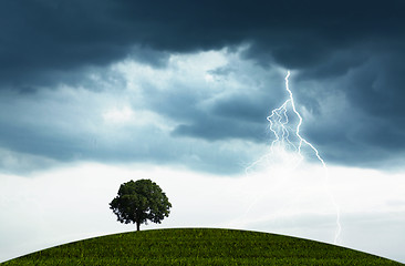 Image showing Storm and tree