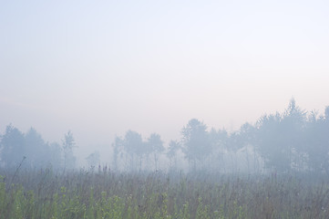 Image showing Morning fog 