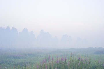 Image showing Morning fog