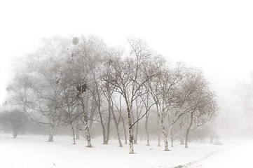 Image showing Winter snow park