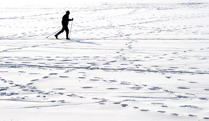 Image showing Skier