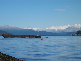 Image showing Alaska Winter Scene