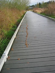 Image showing Boardwalk Through Wetlands