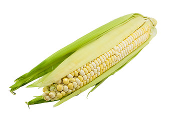 Image showing Fresh corn