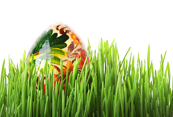 Image showing Easter egg in the grass isolated on white 
