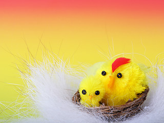 Image showing Easter chicks on the color background