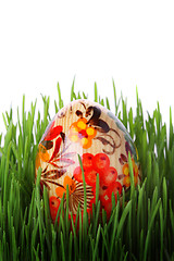 Image showing Easter egg in the grass isolated on white 