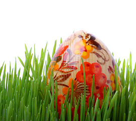 Image showing Easter egg in the grass isolated on white 
